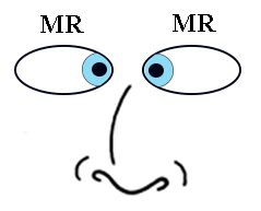 Extraocular Muscle Movements - Convergence