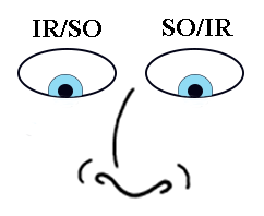 Extraocular Muscle Movements - Looking Straight Down