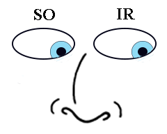 Extraocular Muscle Movements - Looking Left and Down