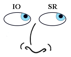 Extraocular Muscle Movements - Looking Left and Up