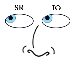 Extraocular Muscle Movements - Looking Right and Up