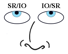 Extraocular Muscle Movements - Looking Straight Up