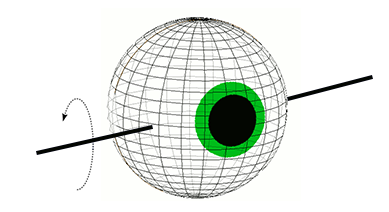 Eye Rotation in Pitch Plane