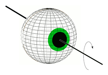 Eye Rotation in Roll Plane